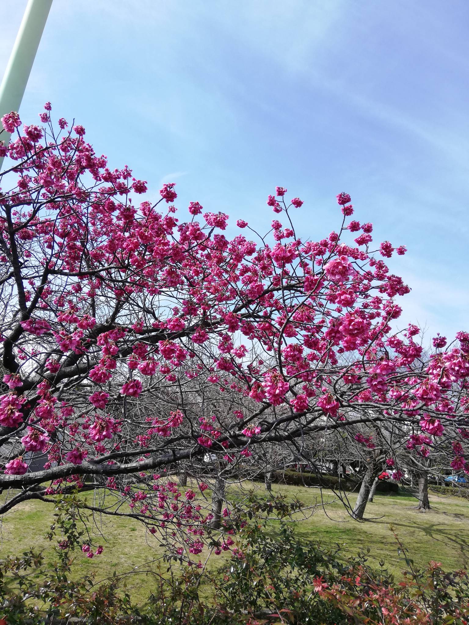 3月7日(土) の活動報告👊✨