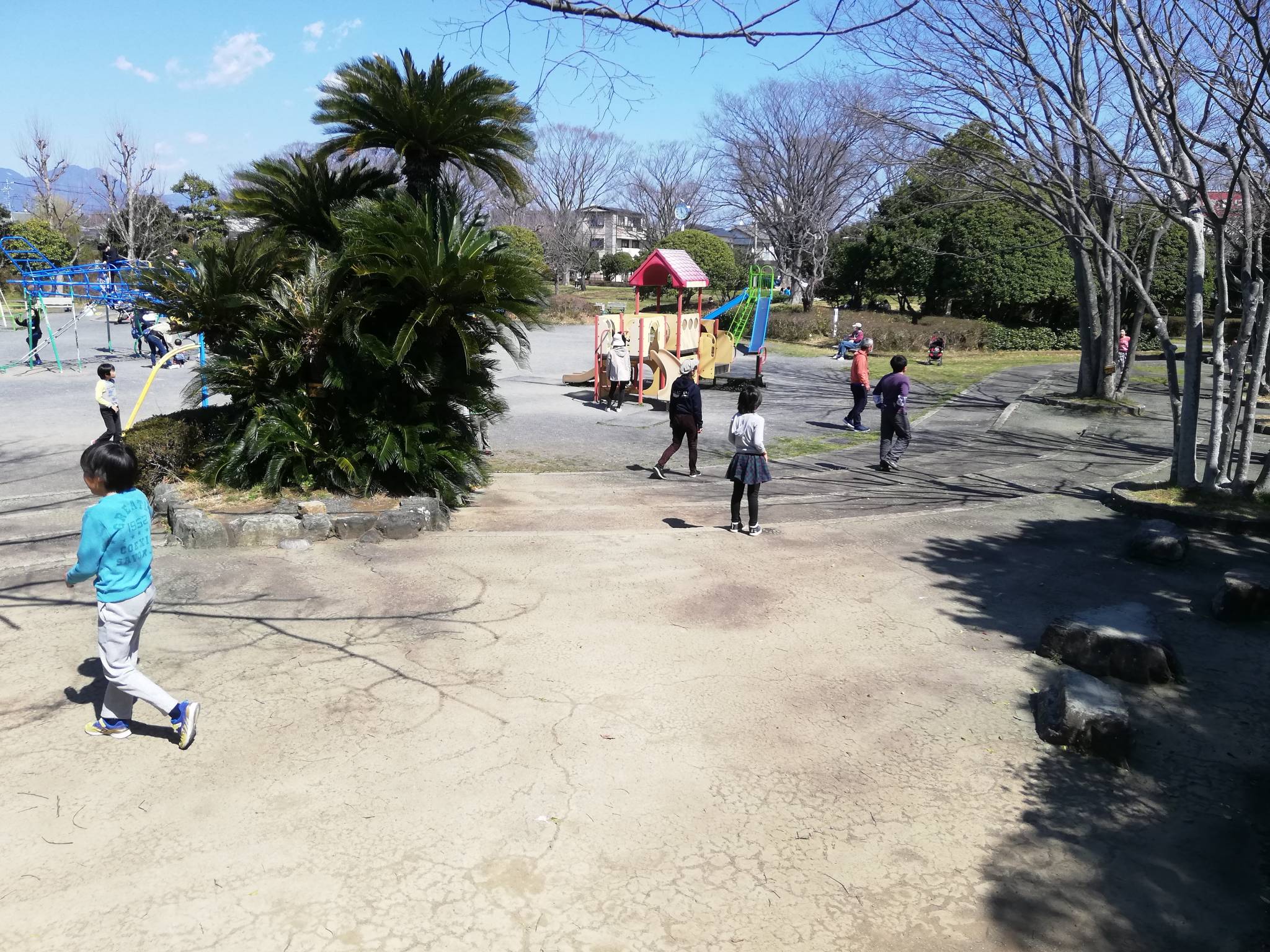 3月18日(水)  高松公園 & 森下公園