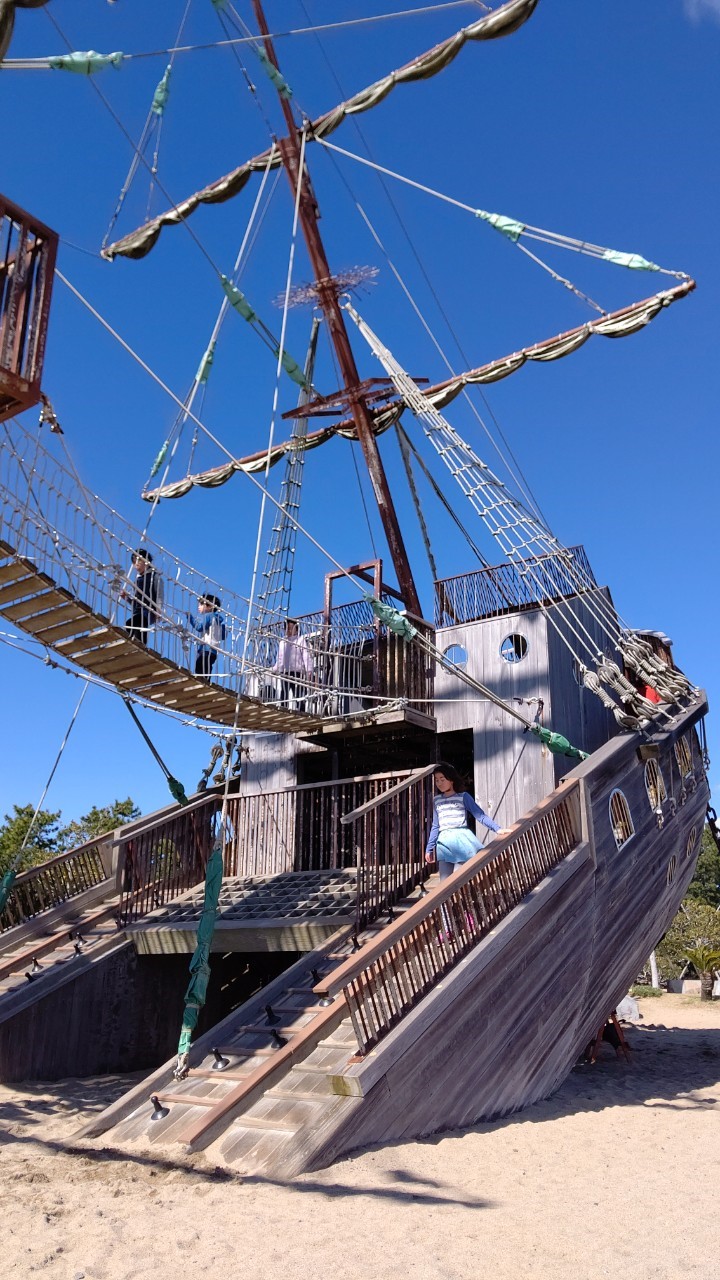 3/5(木) の活動報告です！