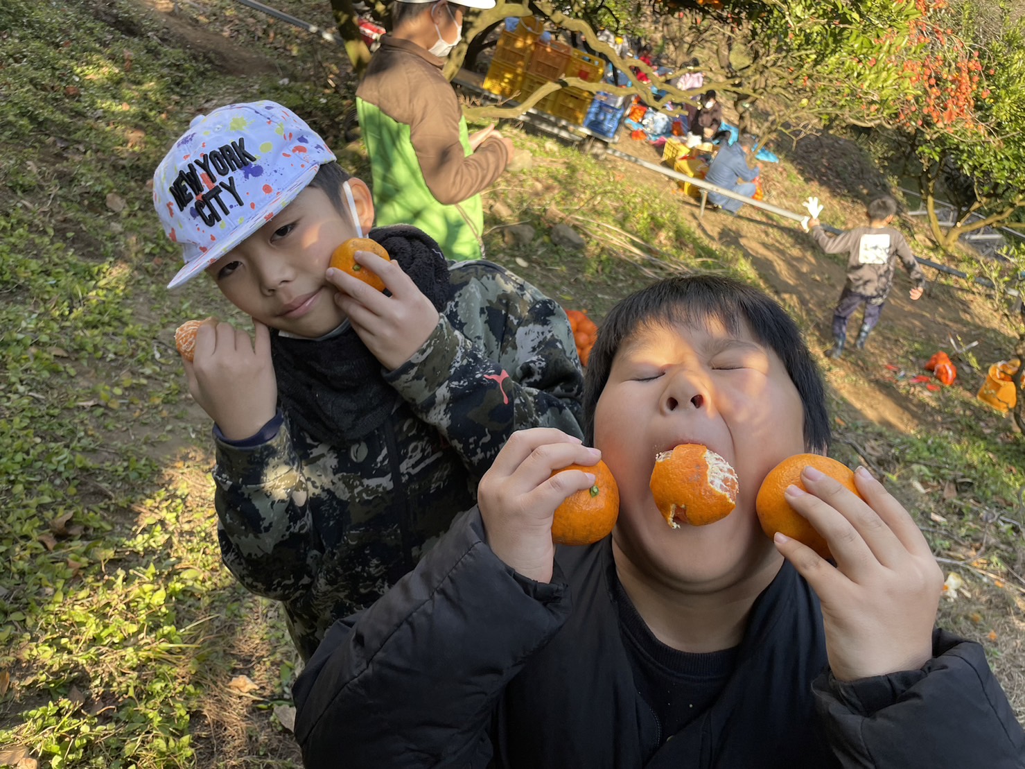 12/2(土) みかん狩り🍊【伊豆長岡】