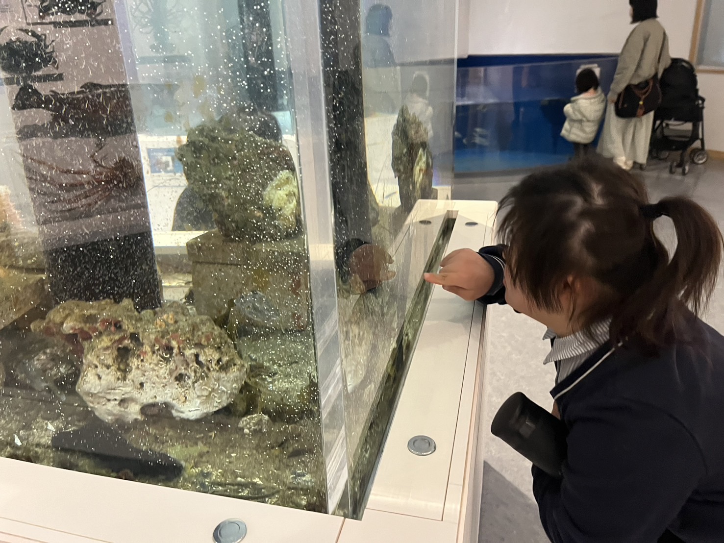 3/25(月) うみしる ＆ 体育館