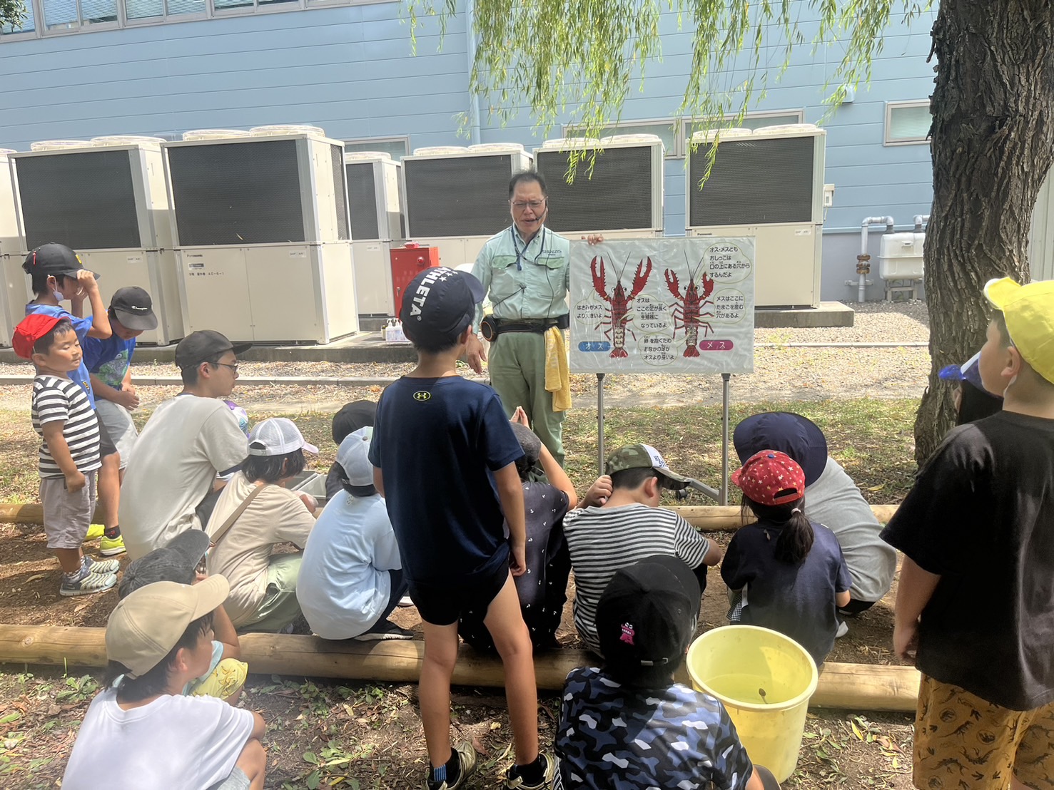 7/30(火) ザリガニ🦞釣り